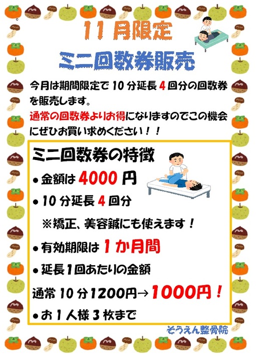 11月ミニ回数券.jpg