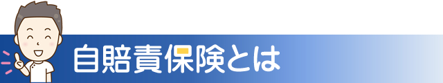 自賠責保険とは